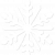 toppng.com-snowflake-572x640